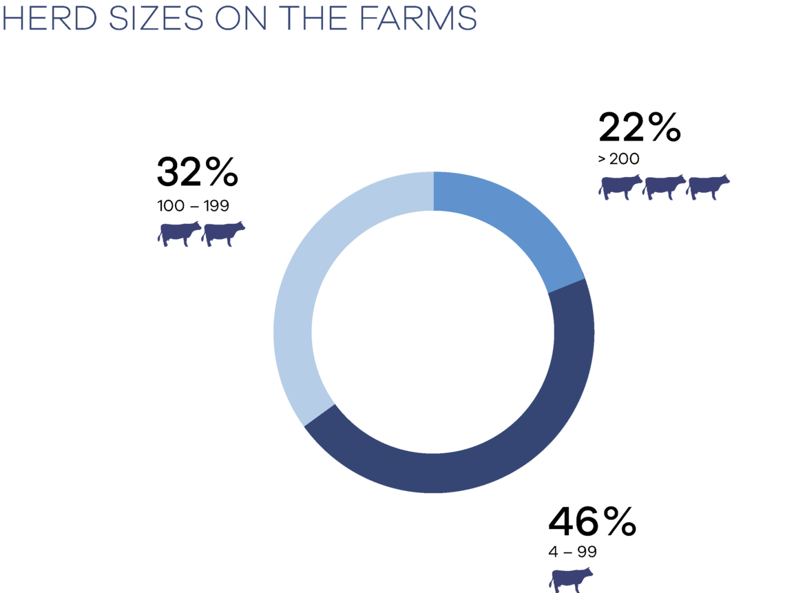  Herd sizes on the farms.