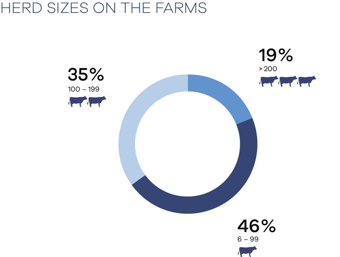  Herd sizes on the farms.